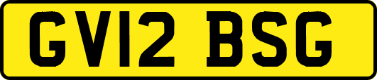 GV12BSG