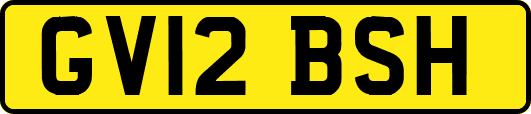 GV12BSH