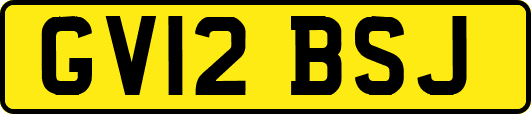 GV12BSJ
