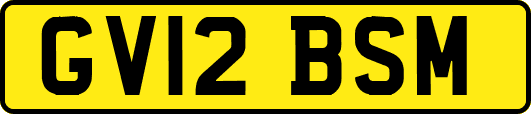 GV12BSM