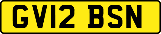 GV12BSN
