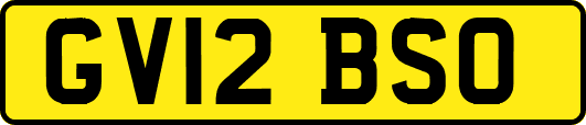 GV12BSO