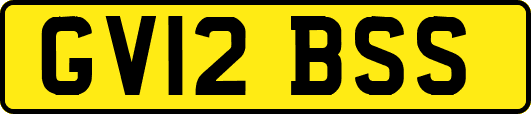 GV12BSS