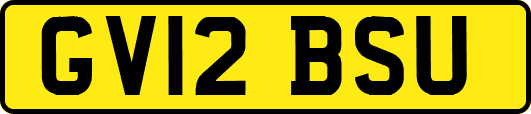 GV12BSU