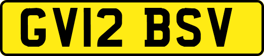GV12BSV