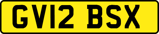 GV12BSX