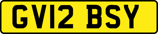 GV12BSY