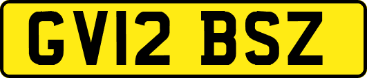 GV12BSZ