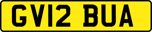 GV12BUA