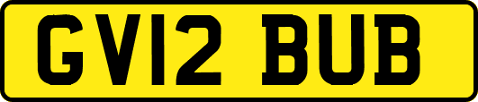GV12BUB