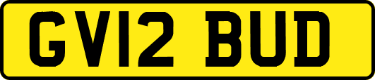 GV12BUD