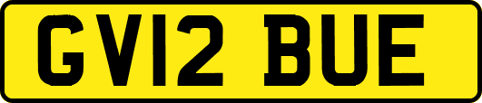 GV12BUE