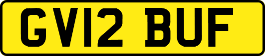 GV12BUF