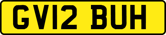 GV12BUH