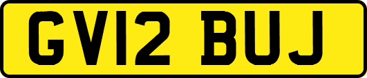 GV12BUJ