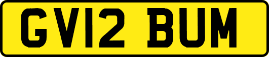 GV12BUM