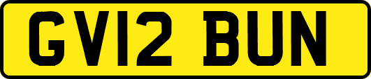 GV12BUN