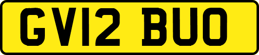 GV12BUO