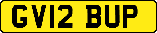 GV12BUP