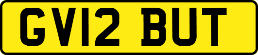 GV12BUT