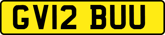 GV12BUU