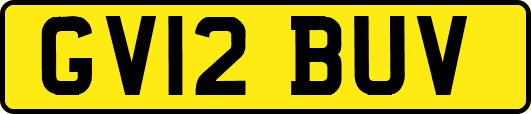 GV12BUV