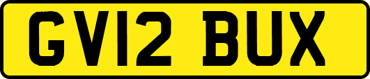 GV12BUX