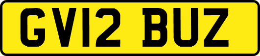 GV12BUZ