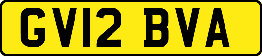 GV12BVA