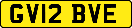 GV12BVE