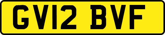 GV12BVF