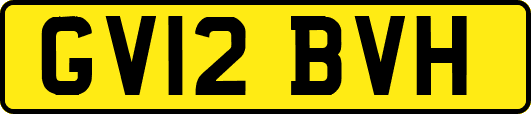 GV12BVH