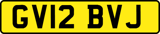 GV12BVJ