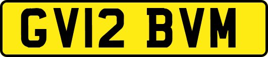 GV12BVM