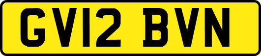 GV12BVN