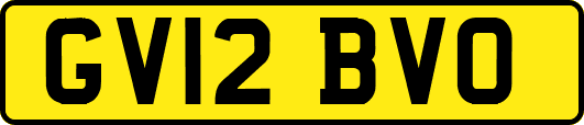 GV12BVO