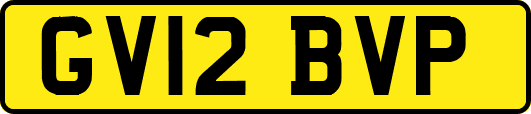 GV12BVP