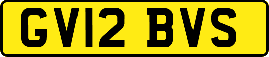 GV12BVS