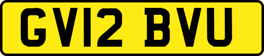 GV12BVU