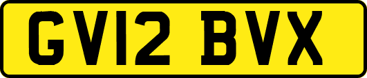 GV12BVX