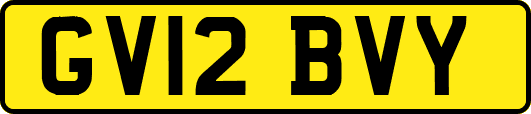 GV12BVY
