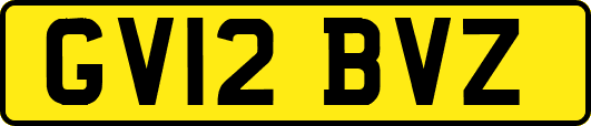 GV12BVZ