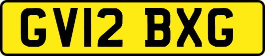 GV12BXG