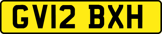GV12BXH