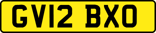 GV12BXO