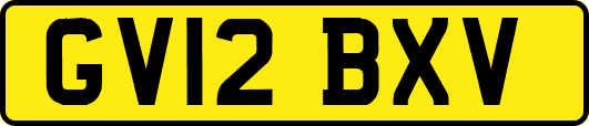 GV12BXV