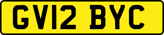 GV12BYC