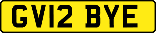 GV12BYE