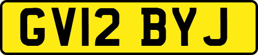 GV12BYJ
