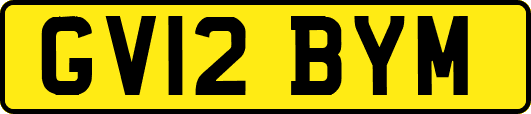 GV12BYM